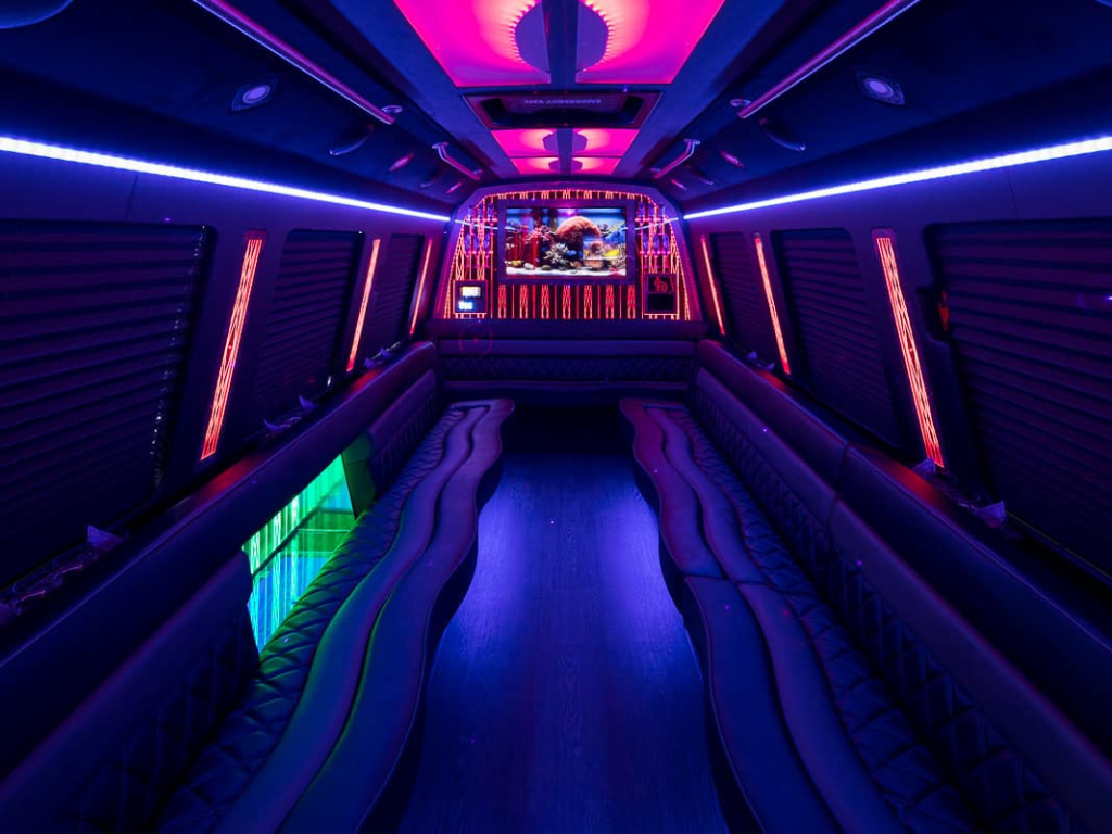 partybus5