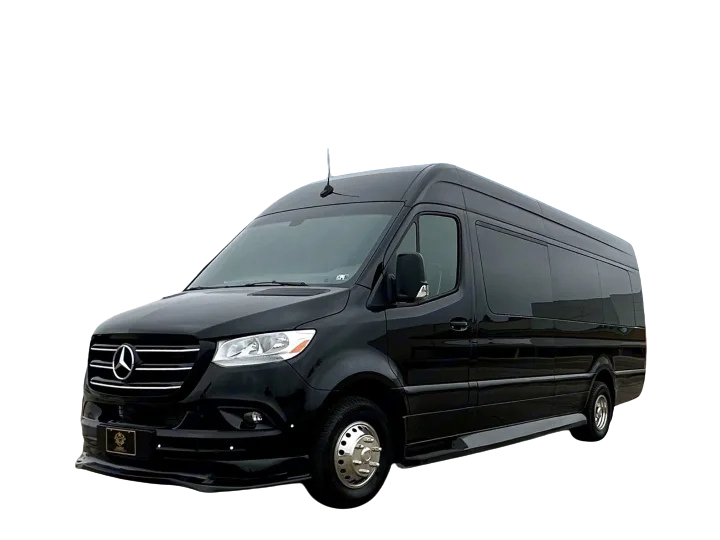 dltsl Van1