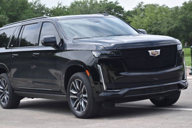 istockphoto 2150906069 612x612 1