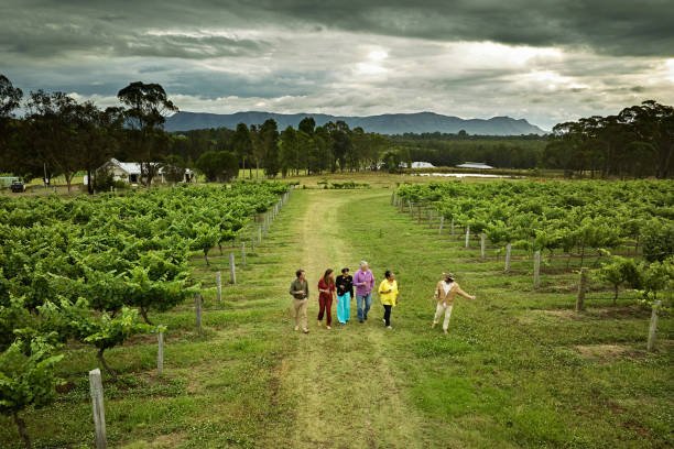 istockphoto 2197805874 612x612 1