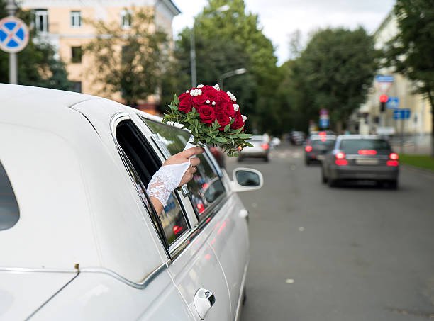 istockphoto 2235102345 612x612 1