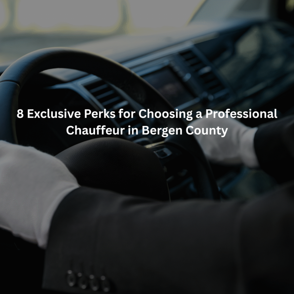 Professional Chauffeur