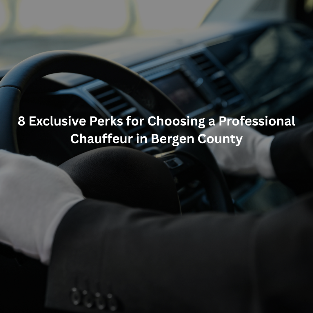 Professional Chauffeur