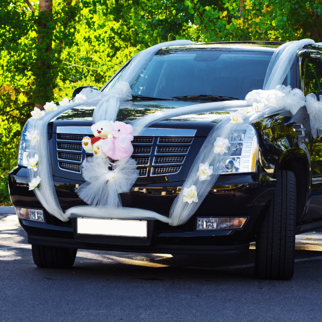 limousine service real time quote 20