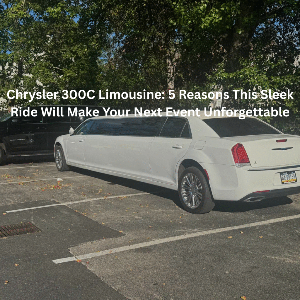 luxury chauffeur ride 2