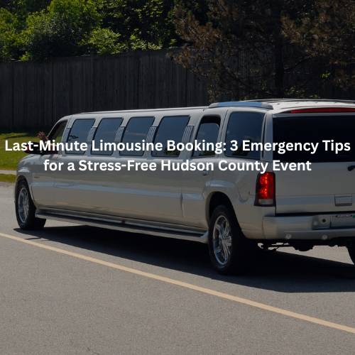 delux Limousine Transportation Services Limousine service in PA 19