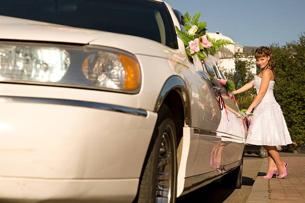 istockphoto 115020800 612x612 1