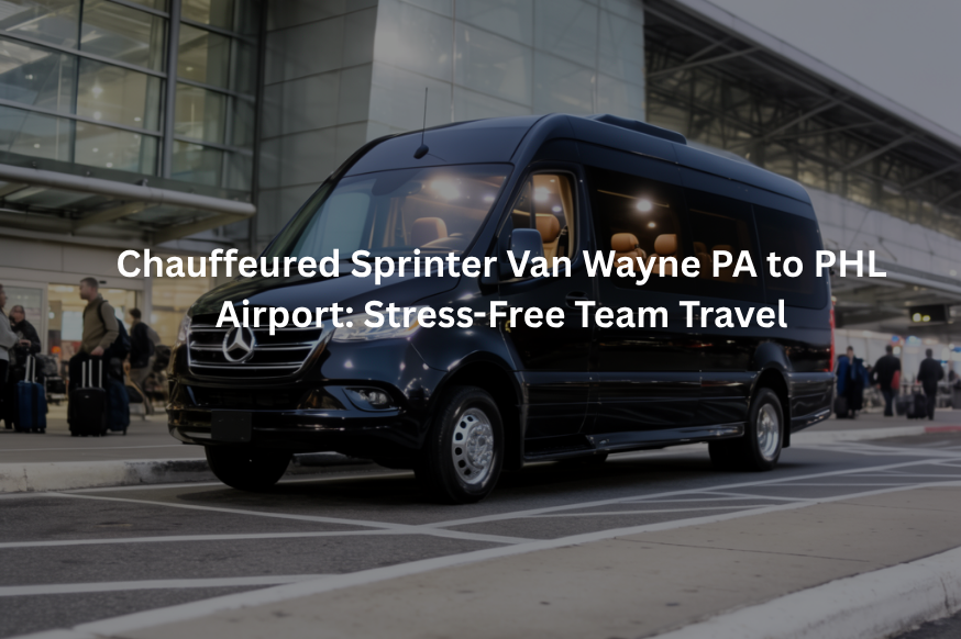 Chauffeured Sprinter Van Wayne